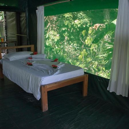 La Leona Eco Lodge Carate Extérieur photo