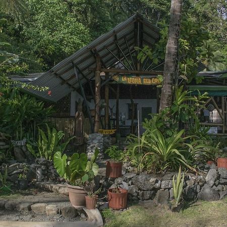 La Leona Eco Lodge Carate Extérieur photo