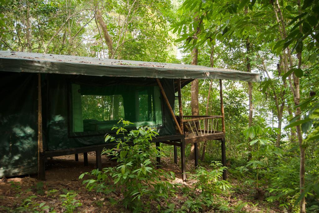 La Leona Eco Lodge Carate Extérieur photo
