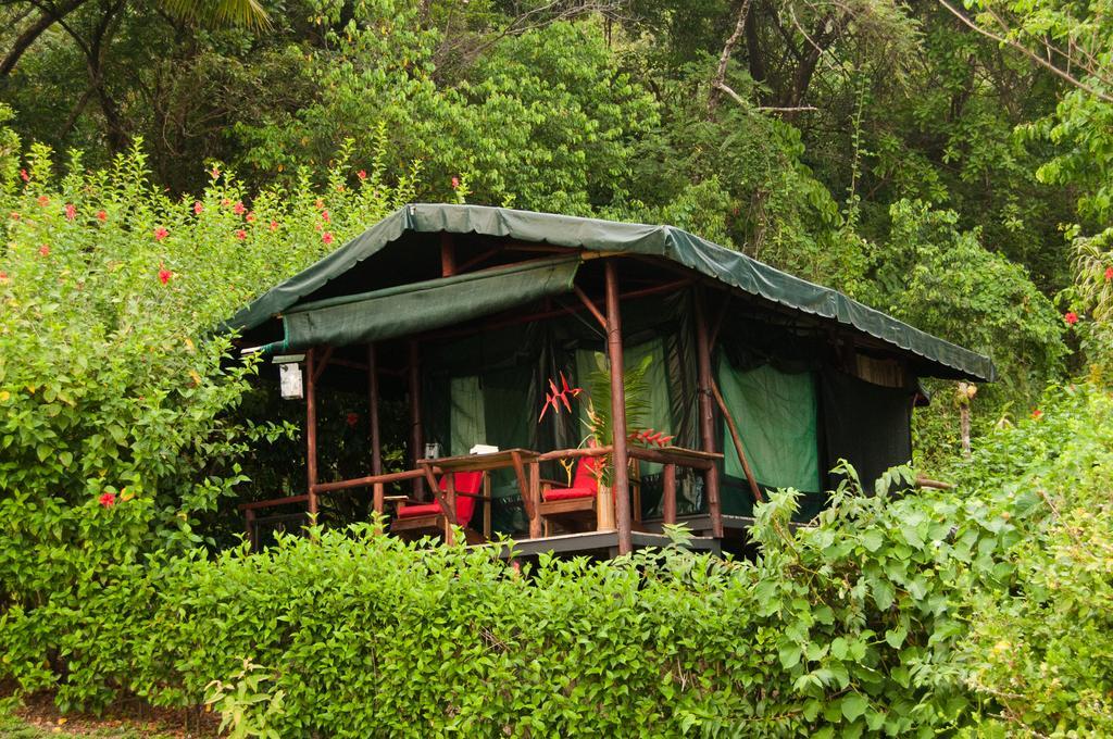 La Leona Eco Lodge Carate Extérieur photo