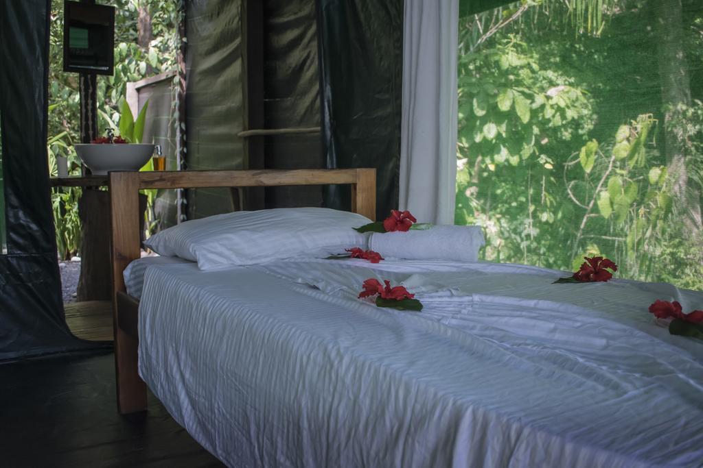 La Leona Eco Lodge Carate Extérieur photo