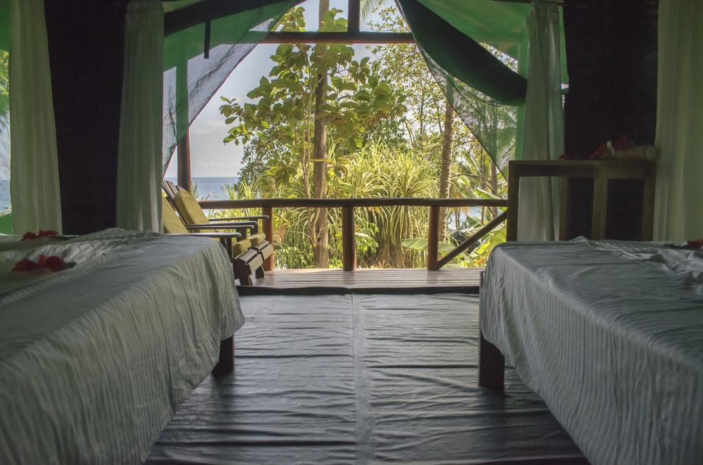 La Leona Eco Lodge Carate Extérieur photo
