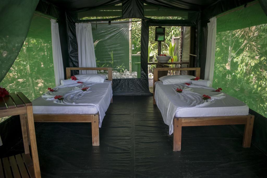 La Leona Eco Lodge Carate Extérieur photo