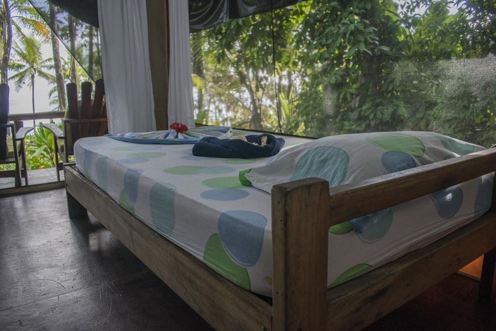 La Leona Eco Lodge Carate Extérieur photo