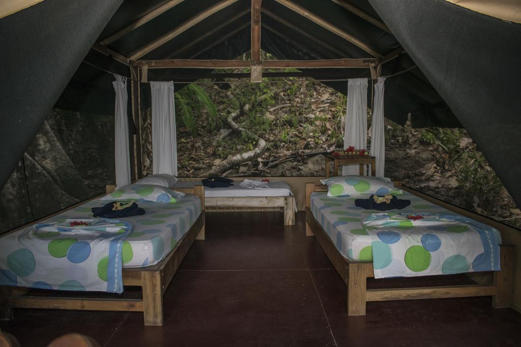 La Leona Eco Lodge Carate Extérieur photo