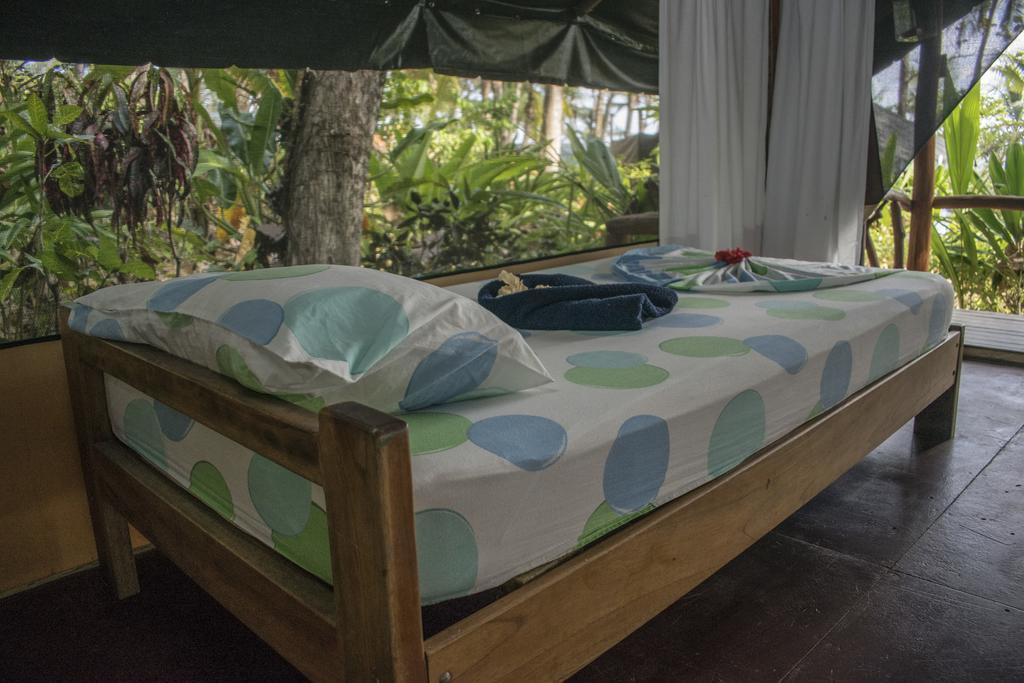 La Leona Eco Lodge Carate Extérieur photo