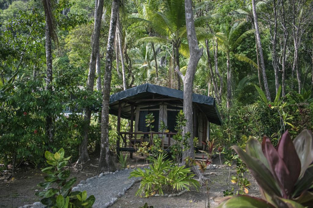 La Leona Eco Lodge Carate Extérieur photo