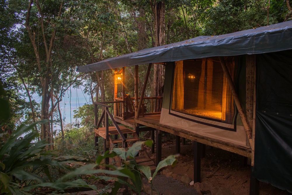 La Leona Eco Lodge Carate Extérieur photo