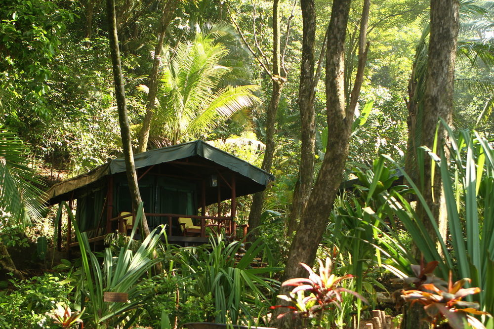 La Leona Eco Lodge Carate Extérieur photo