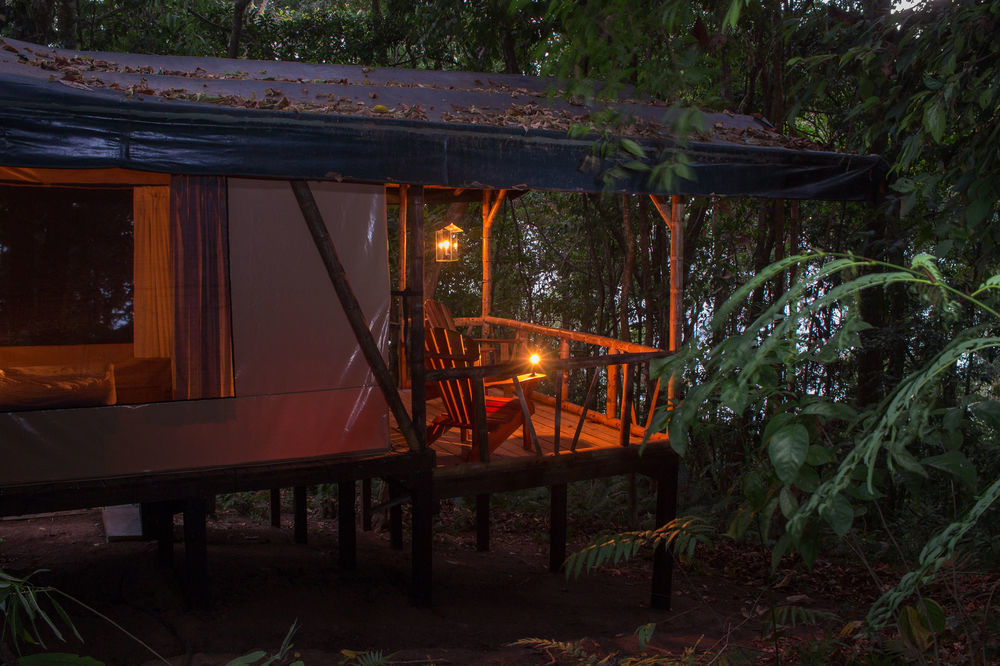 La Leona Eco Lodge Carate Extérieur photo