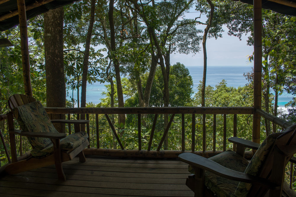 La Leona Eco Lodge Carate Extérieur photo