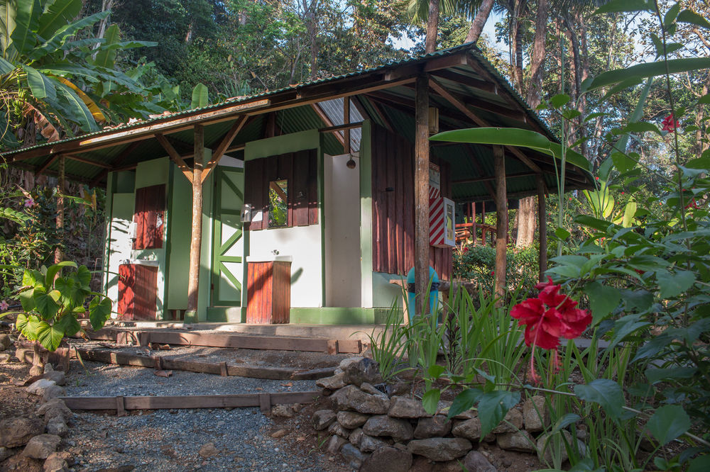 La Leona Eco Lodge Carate Extérieur photo