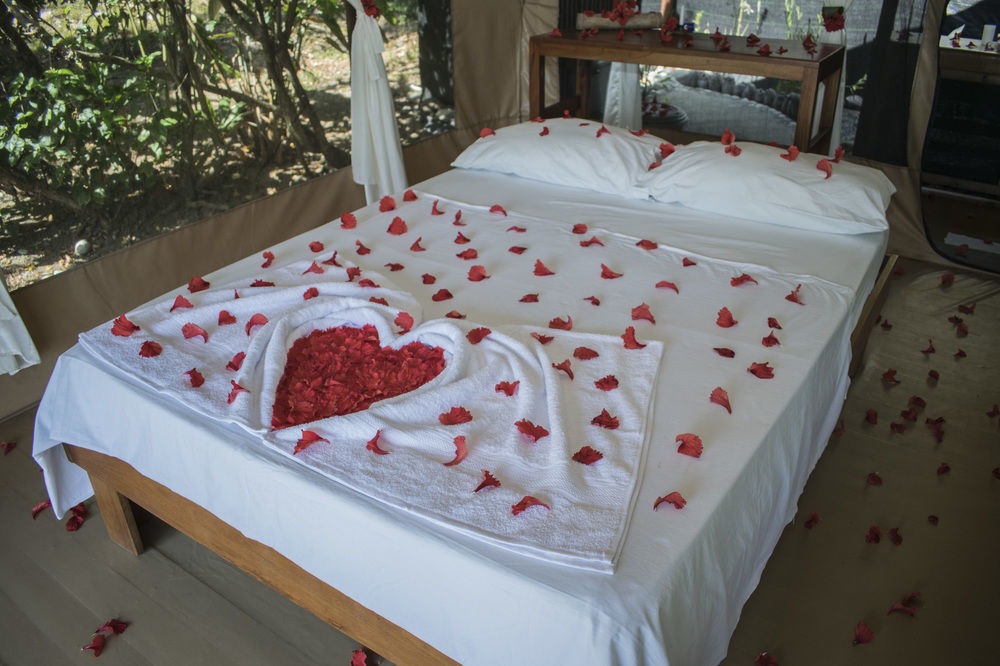La Leona Eco Lodge Carate Extérieur photo